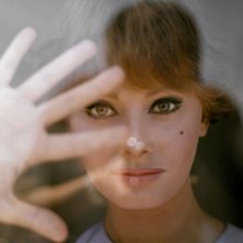 Sophia!: Sophia Loren in un'immagine del film