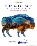 Locandina di America the Beautiful