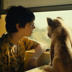 King - Un cucciolo da salvare: Léo Lorléac'h con il leoncino in una scena del film