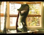 Il Talento di Mr. Crocodile: il film con Luigi Strangis sarà presentato in anteprima ad Alice nella Città