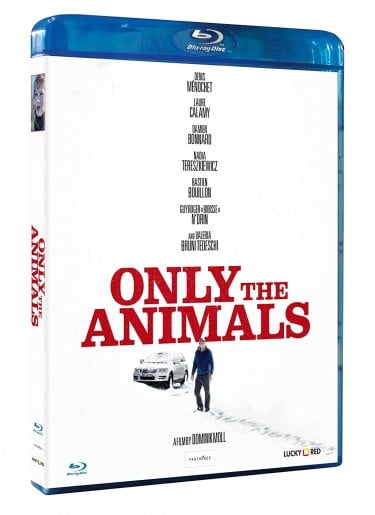 Onlyanimals