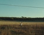 Berlino 2024: Dostoevskij dei fratelli D'Innocenzo e Spaceman con Adam Sandler e Carey Mulligan in programma