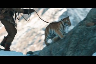 Il Ragazzo E La Tigre - Clip (1)