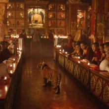Il ragazzo e la tigre: il tigrotto in un monastero buddista