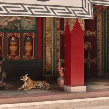 Il ragazzo e la tigre: una scena del film