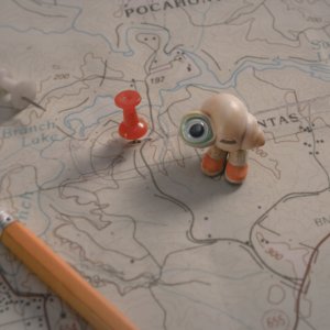 Marcel the Shell with the Shoes On: una foto del film