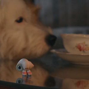 Marcel the Shell with the Shoes On: una scena