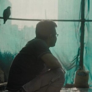 All That Breathes: una sequenza del film