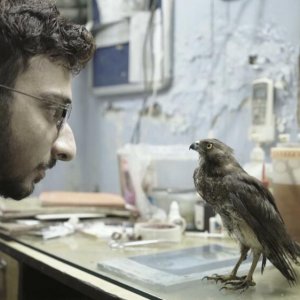 All That Breathes: una scena del film