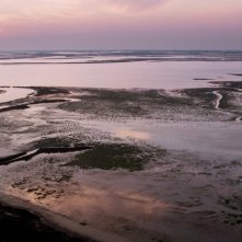 Amate sponde: una sequenza