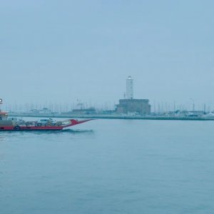 Amate sponde: una scena tratta dal documentario