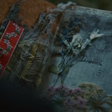 Foudre: una scena tratta dal film