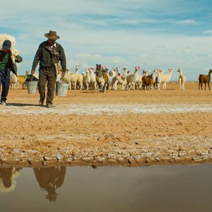 Utama - Le terre dimenticate: un'immagine