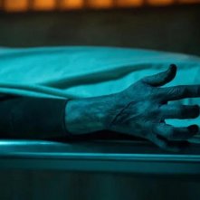 Cabinet of Curiosities, un'inquietante immagine