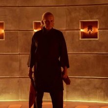 Cabinet of Curiosities: una foto di scena