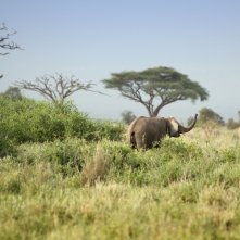 Questa notte parlami dell'Africa: una scena del film
