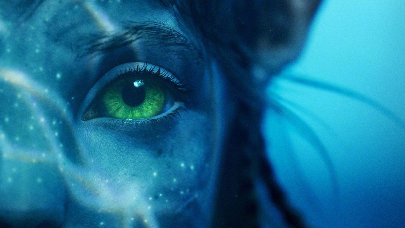 Avatar: La Via dell'Acqua: il cast ha battuto qualche record di apnea con gli allenamenti sott'acqua