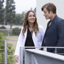 Grey's anatomy 19: un'immagine della serie