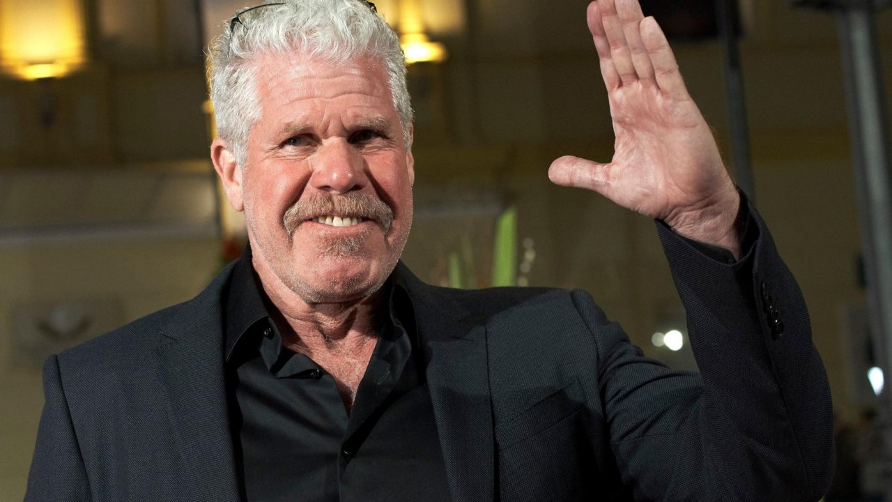 Hellboy: Ron Perlman in un film della Marvel o DC? Ecco la sua risposta