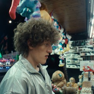 La timidezza delle chiome: una scena