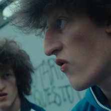 La timidezza delle chiome: Benjamin e Joshua Israel in un'immagine