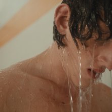 La timidezza delle chiome: un frame del film