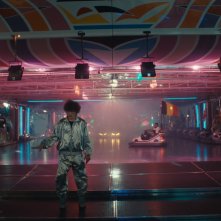 La timidezza delle chiome: un'immagine