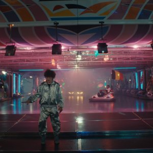 La timidezza delle chiome: un'immagine