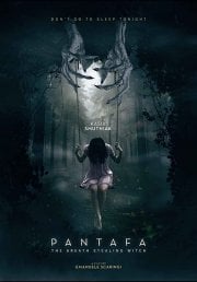 Locandina di Pantafa