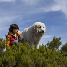 Belle & Sebastien - Next Generation: Robinson Mensah Rouanet in una foto