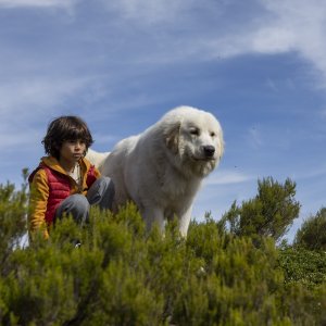 Belle & Sebastien - Next Generation: Robinson Mensah Rouanet in una foto