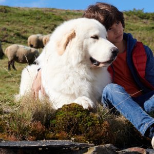 Belle & Sebastien - Next Generation: Robinson Mensah Rouanet in una scena del film