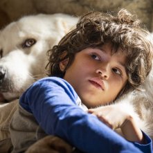 Belle & Sebastien - Next Generation: Robinson Mensah Rouanet in una sequenza