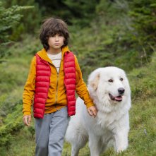 Belle & Sebastien - Next Generation: Robinson Mensah Rouanet in un momento del film