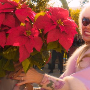 The Christmas Show: Ornella Muti in una scena