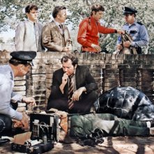 Anche gli uccelli uccidono: una foto del film