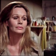 Anche gli uccelli uccidono: un'immagine del film