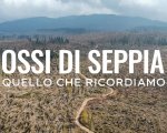 Ossi di Seppia, 'La Pantera siamo noi': dal 22 novembre su RaiPlay  e il 25 novembre su Rai 3