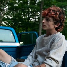 Bones And All: Timothée Chalamet in una foto