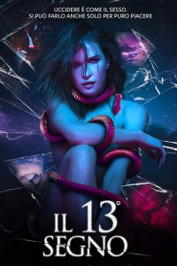 Locandina di Il 13° segno