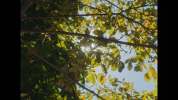 Ma Nuit - Trailer Italiano