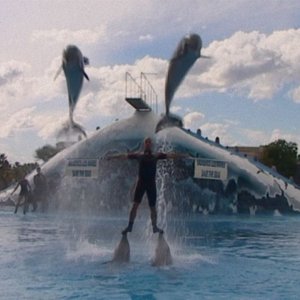 L'ultimo Re dei delfini: una foto del film