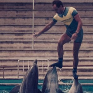 L'ultimo Re dei delfini: una scena del film