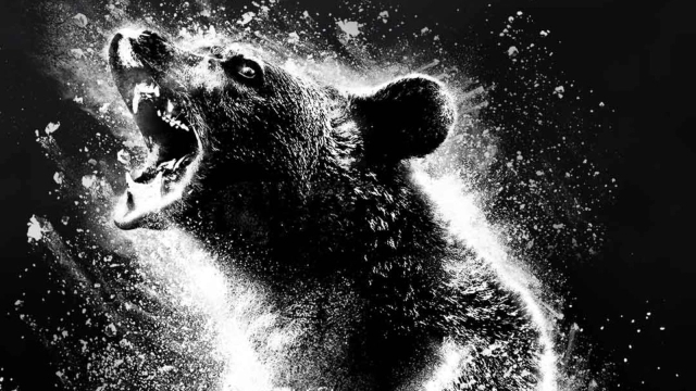 Cocaine Bear: il poster del film diretto da Elizabeth Banks ispira molti meme sui social media