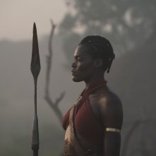 The Woman King: un'immagine del film