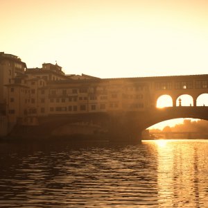 Botticelli e Firenze. La nascita della bellezza: un'immagine