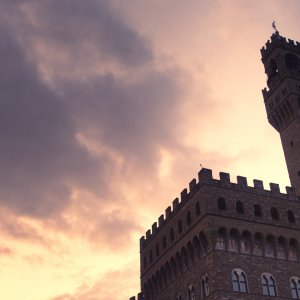 Botticelli e Firenze. La nascita della bellezza: un'immagine