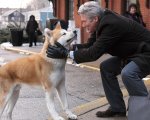 Hachiko di Lasse Hallström con Richard Gere torna al cinema solo il 13 dicembre con Lucky Red