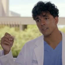 Grey's Anatomy 19: Nike Terho nel sesto episodio