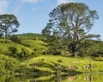 Hobbiton, la magica contea de Il Signore degli Anelli, è ora su Airbnb